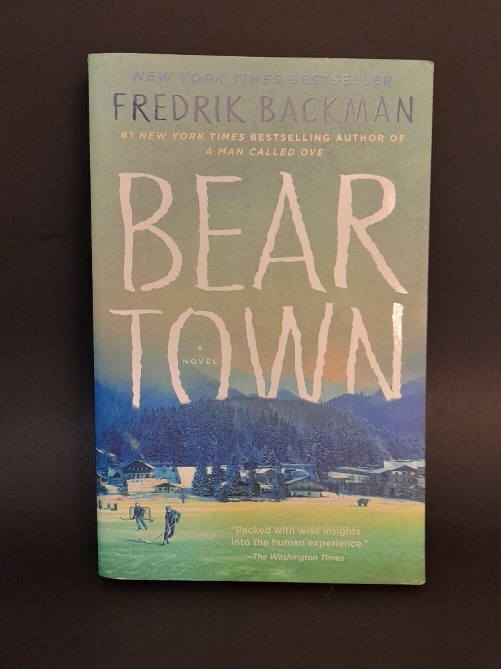 Bear Town Book
